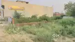 plot near bharwara crossing selling urgently