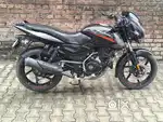 Black pulser fresh model