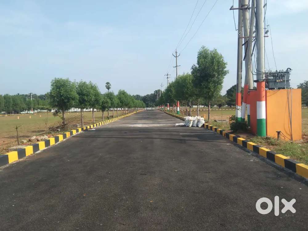 Open plot at tagarapulsa