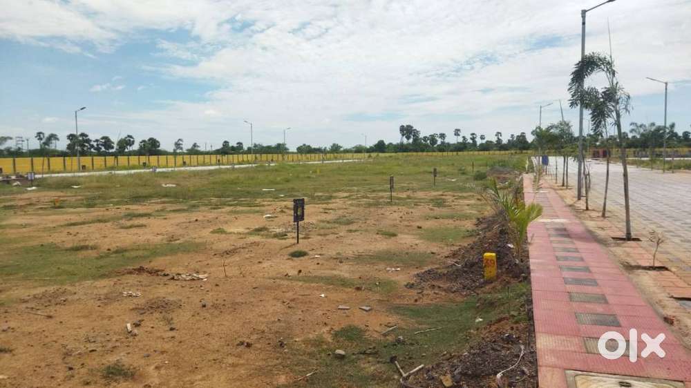 Sales Manager for Real Estate Company