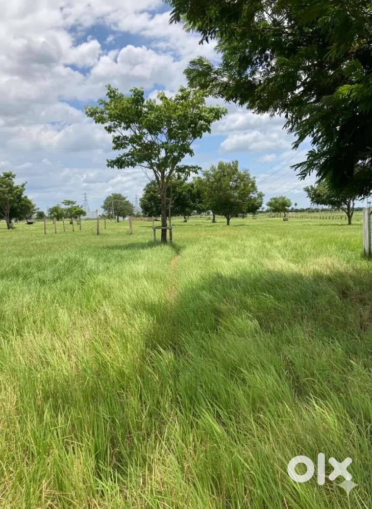 Site Near kaaranodai ( Best investment )