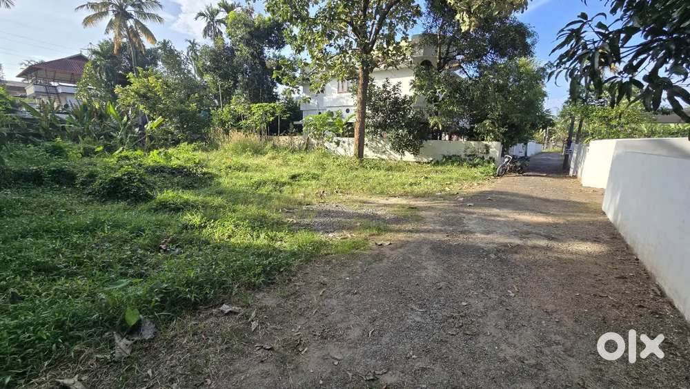 Aluva paravoor kavala near manappuram 7 cent house plot for sale