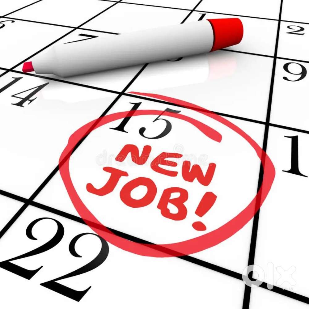 Best Job For male... जॉब करने वाले कृपया फोन करें मैसेज ना करें