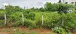 panchayathi site