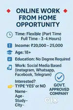 Online work (work from home)