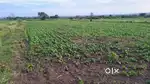 1 acre farm land for sale