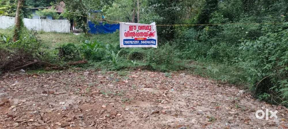 12 cent of Plane land for sale