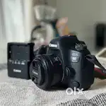 Canon 6D Mark ii2