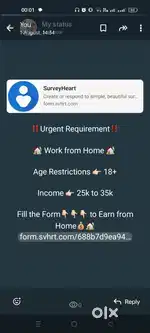 Online business (work from home)