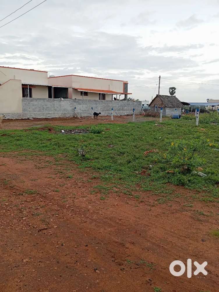 PLOTS SALE ITTERI NEAR HOMES