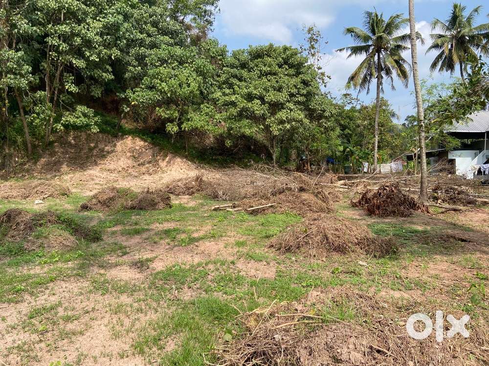 80 Cent Residential plot for Sale Near Vilabhagam, Vakkom