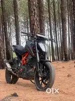 Duke 390 2023