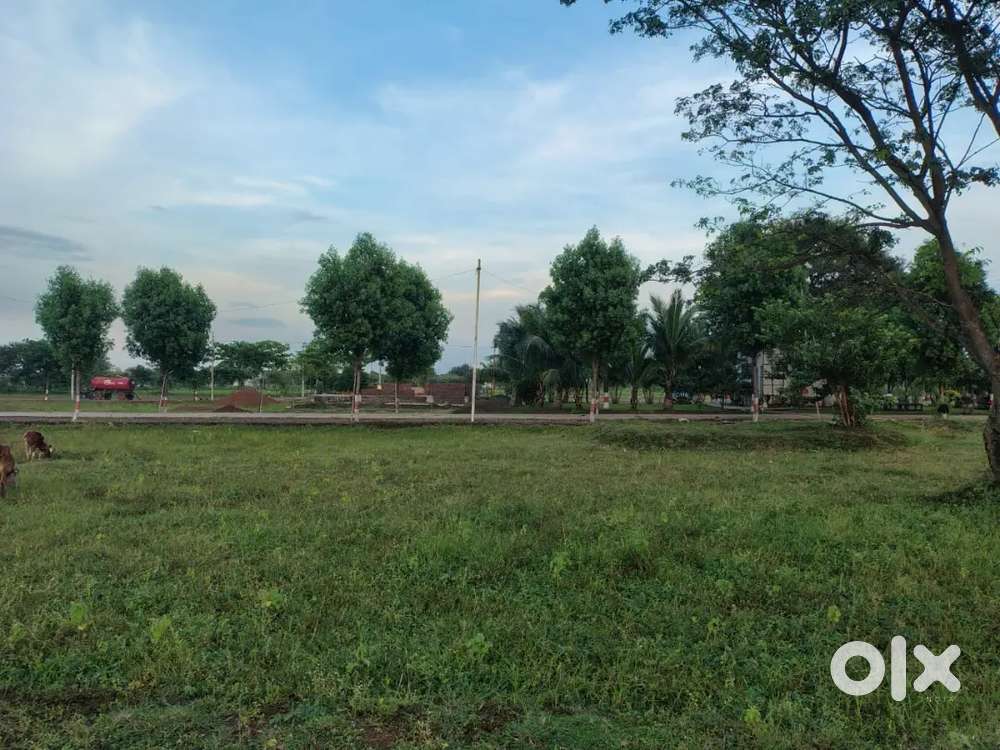 Anjora maitri dental college  ke piche