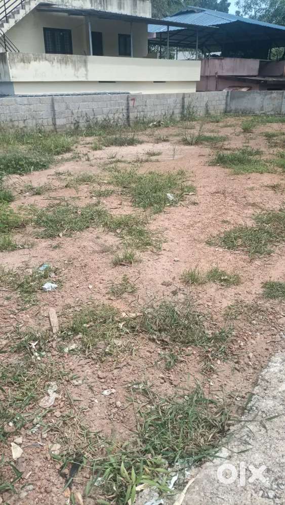 വാഴയില veettikonam 10cent ഫുൾ ആയി 6ലക്ഷം സെന്റിനു