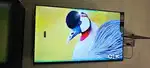 4k New 43 android smart tv available with warranty