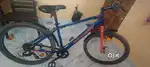 Rockrider cycle