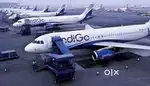 Great opportunity for Airport jobs ground staff /ticketing /cabin crew