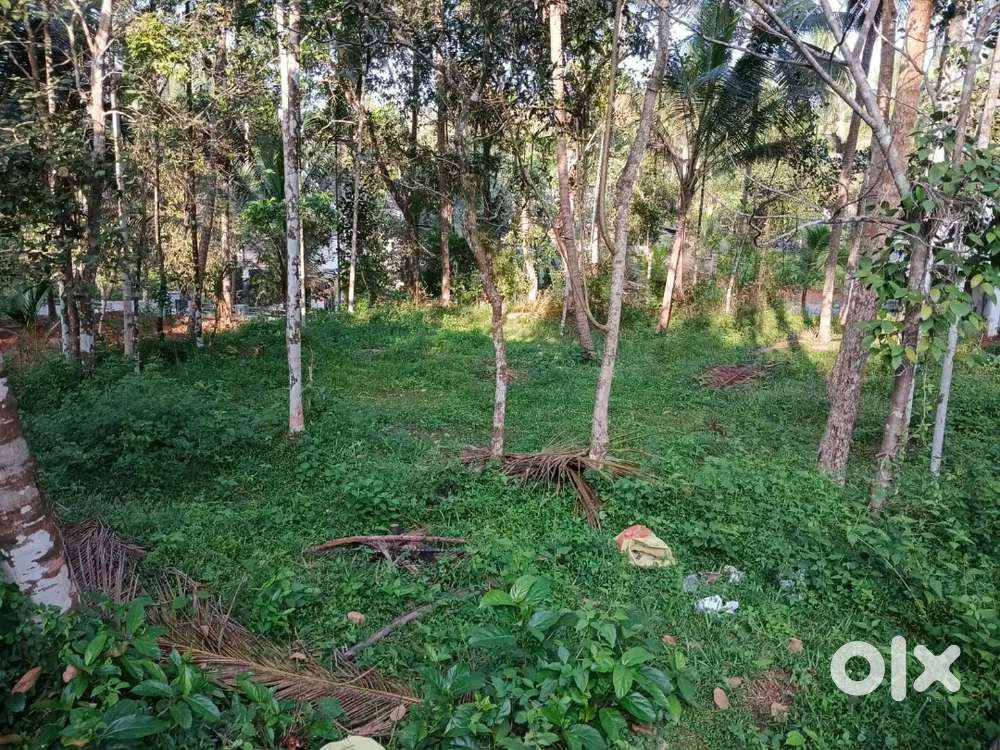 Residential plot for sale