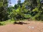 40 cents of land of land in kanjiramattom