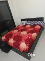 Wooden box storage bed with spring mattress