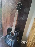 Professional Guitar in excellent condition