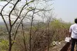 Best commercial plot to invest