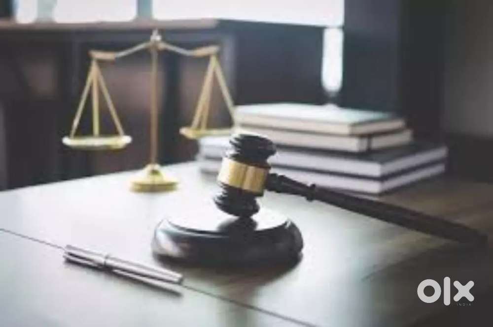 Collection executive