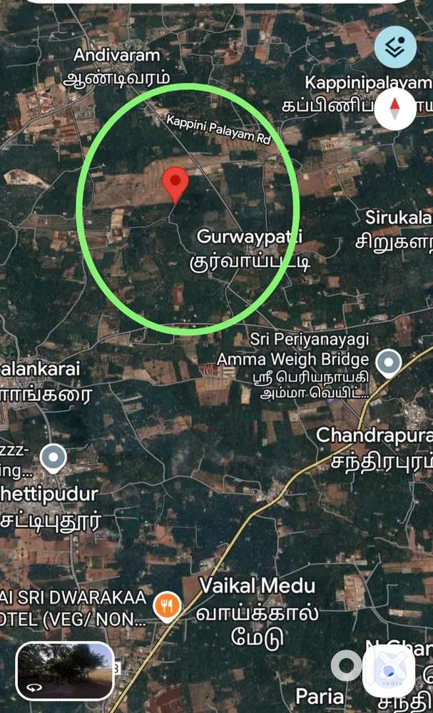 3 Acres Coconut farm & farm house immediate sale  8 km  pollachi road