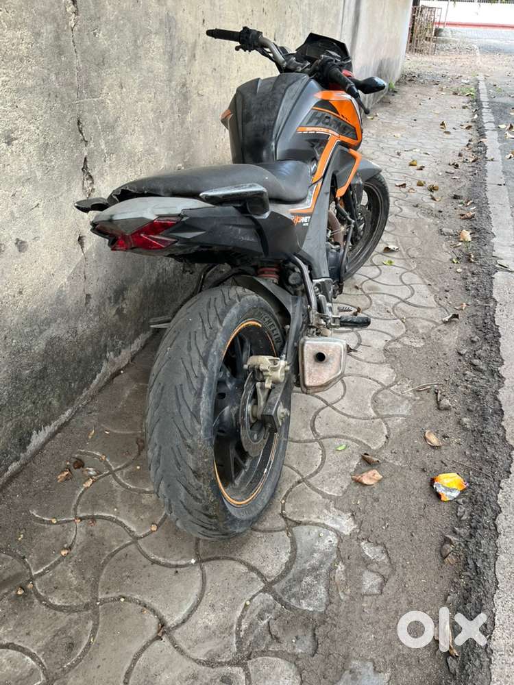 hornet buke