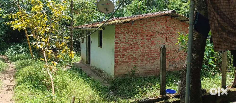 3 cent plot and small home, well water, electricity available