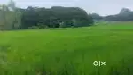 नेशनल हाईवे पर जमीन खरीदे दुकान या शोरूम के लिए कमर्शियल प्लॉट