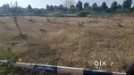 Residential plot for sale 110sqyrd at penjerla village, kothur