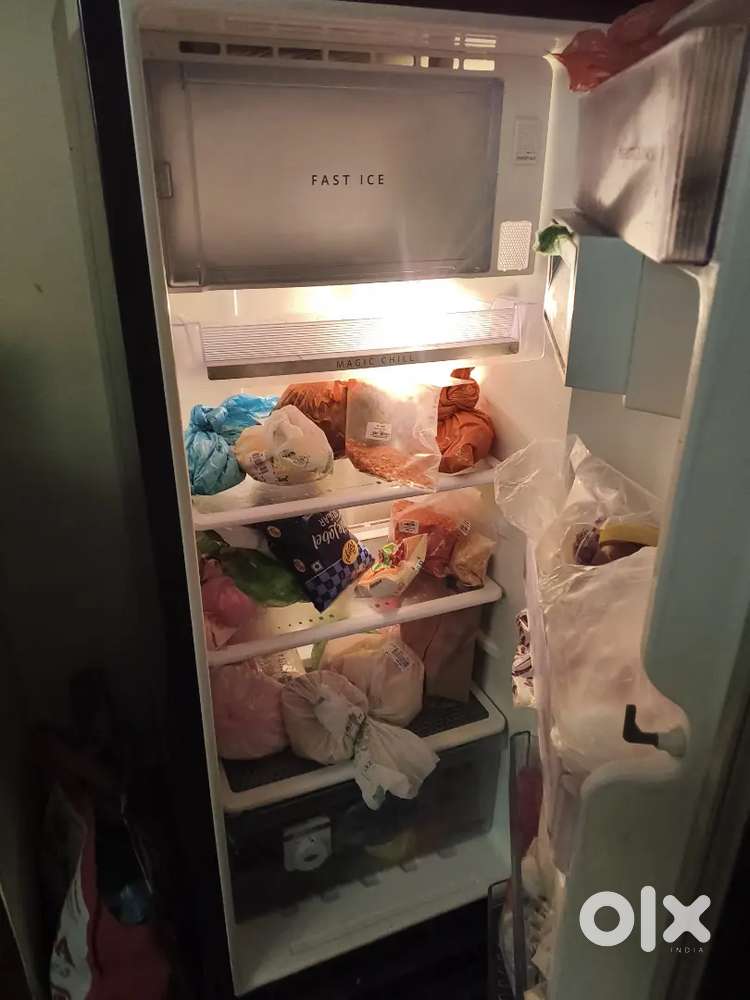 Fridge single door
