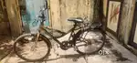 Hercules ranger cycle