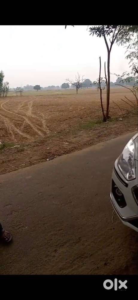 5.25 beegha jameen bikau hai