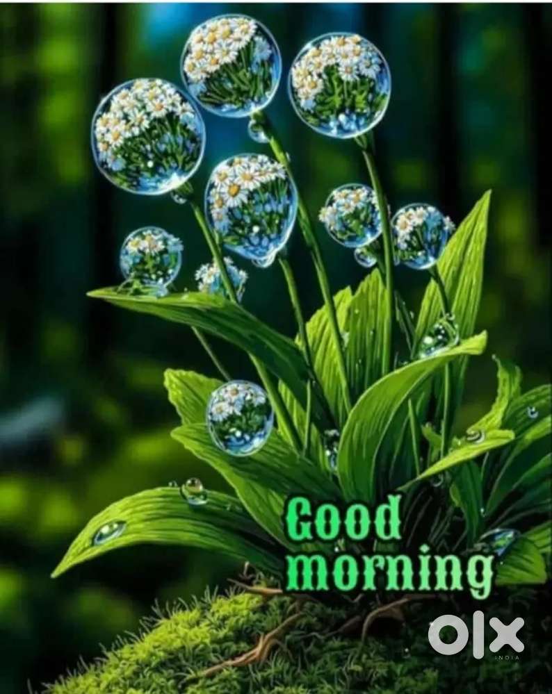 Green colony plot for sale