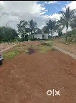 Fully Developed plotting project at Balipada.