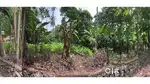 10 Cent Residential plot for sale in Kodanoor - East Facing