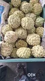 பழக்கடை வேளைக்கு ஆட்கள் தேவை