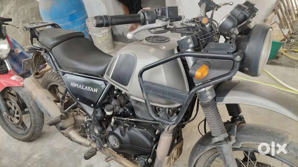 Himalayan for lease or rent only