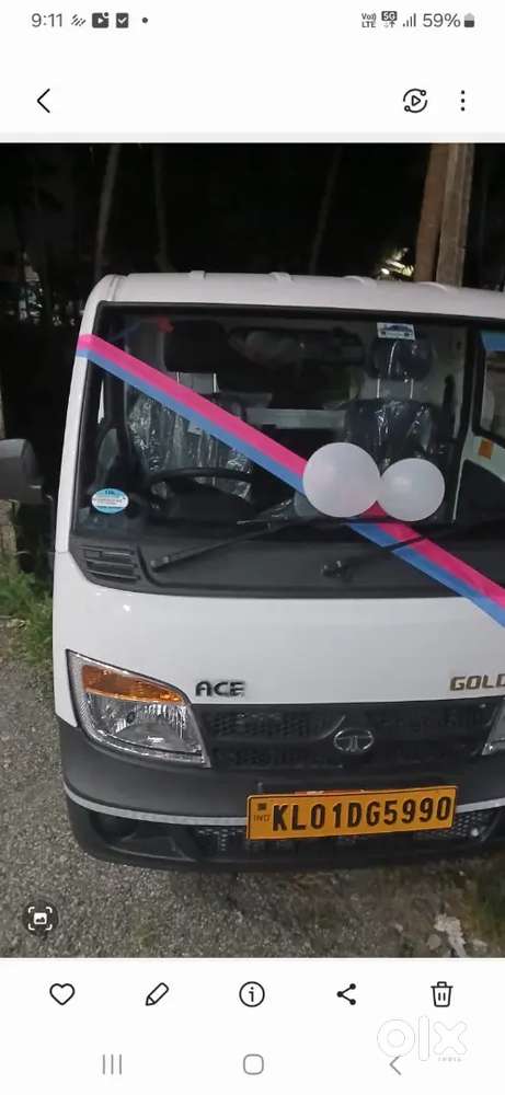Tata ace gold petrol