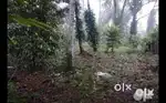 1 acre land near Kakkanad with 12 year old house