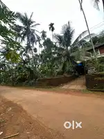 15 cent സ്ഥലവും വീടും വില്പനയ്ക്