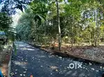 Land Near Angamaly