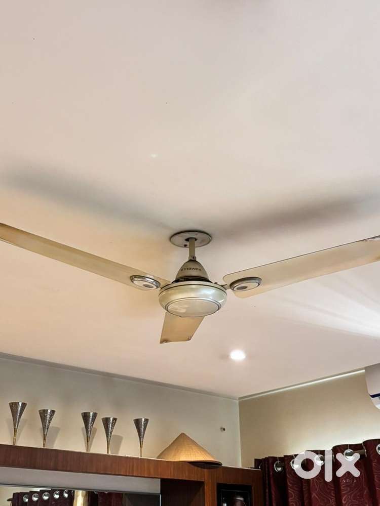 Ceiling fan