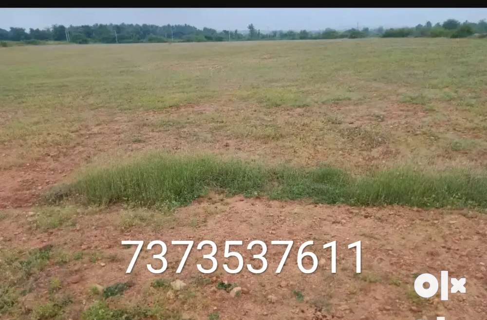 10 acer agriculture land for sale