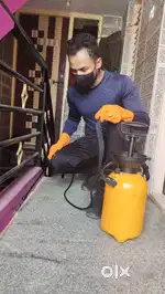 Pest Control Services Bangalore