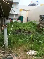 Hafsa plot