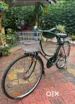 BSA SUPREME ( 6 MONTHS OLD )