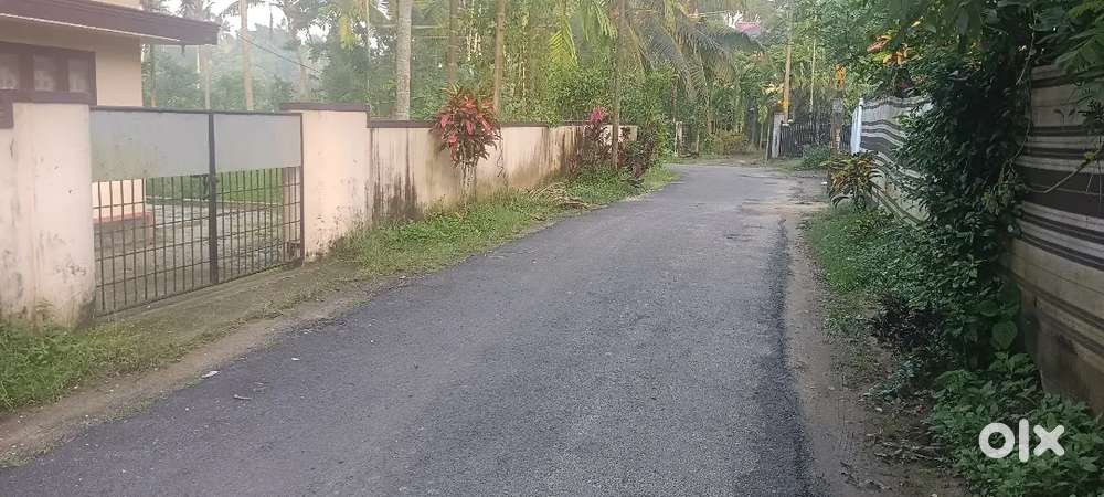 Aluva karumalloor 8 ct plot ct 3 80 lk